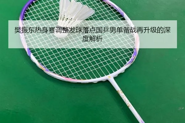 樊振东热身赛调整发球落点国乒男单备战再升级的深度解析